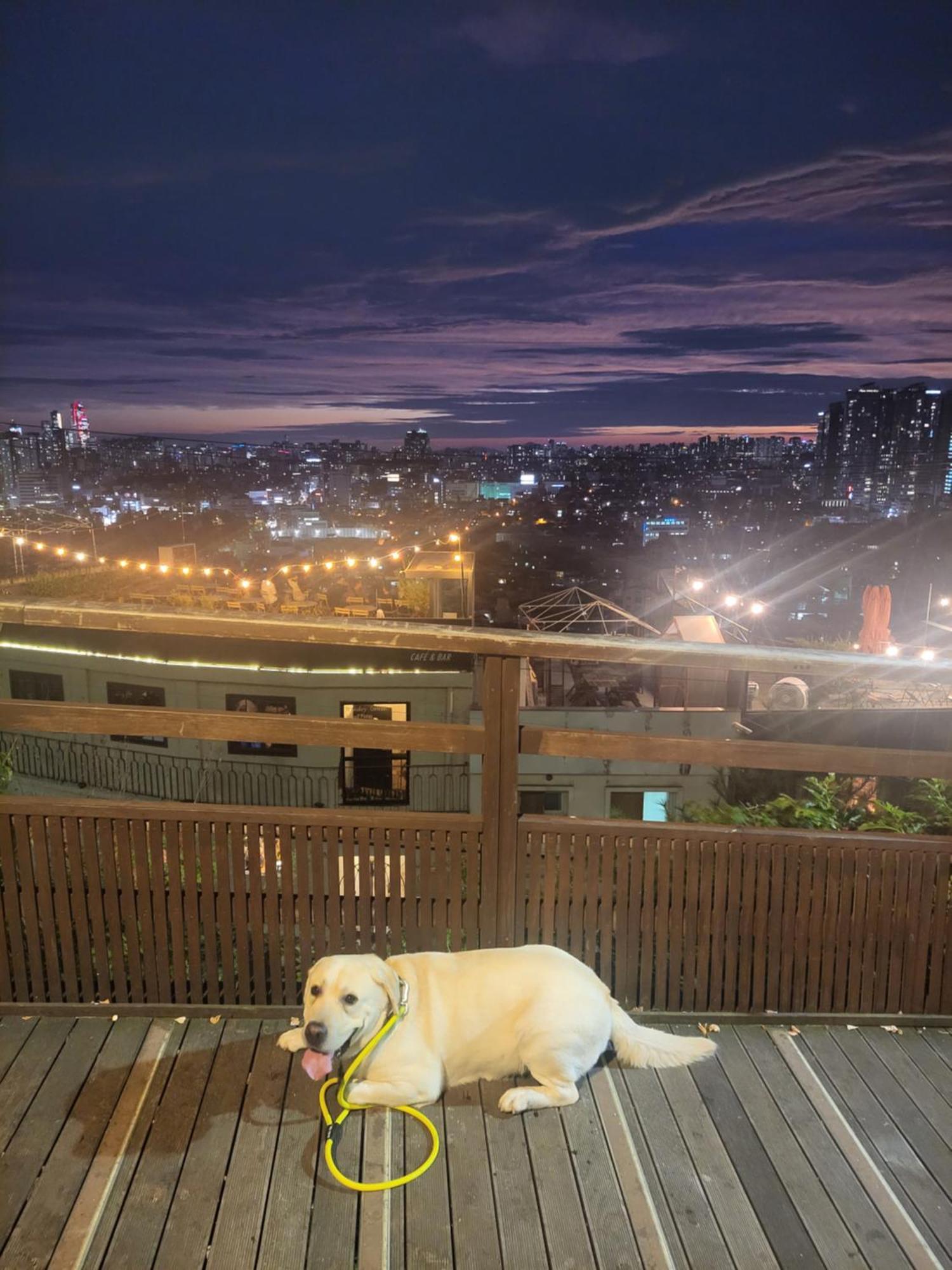 Brand New 2 Bedroom Apartment #6 Seul Exterior foto