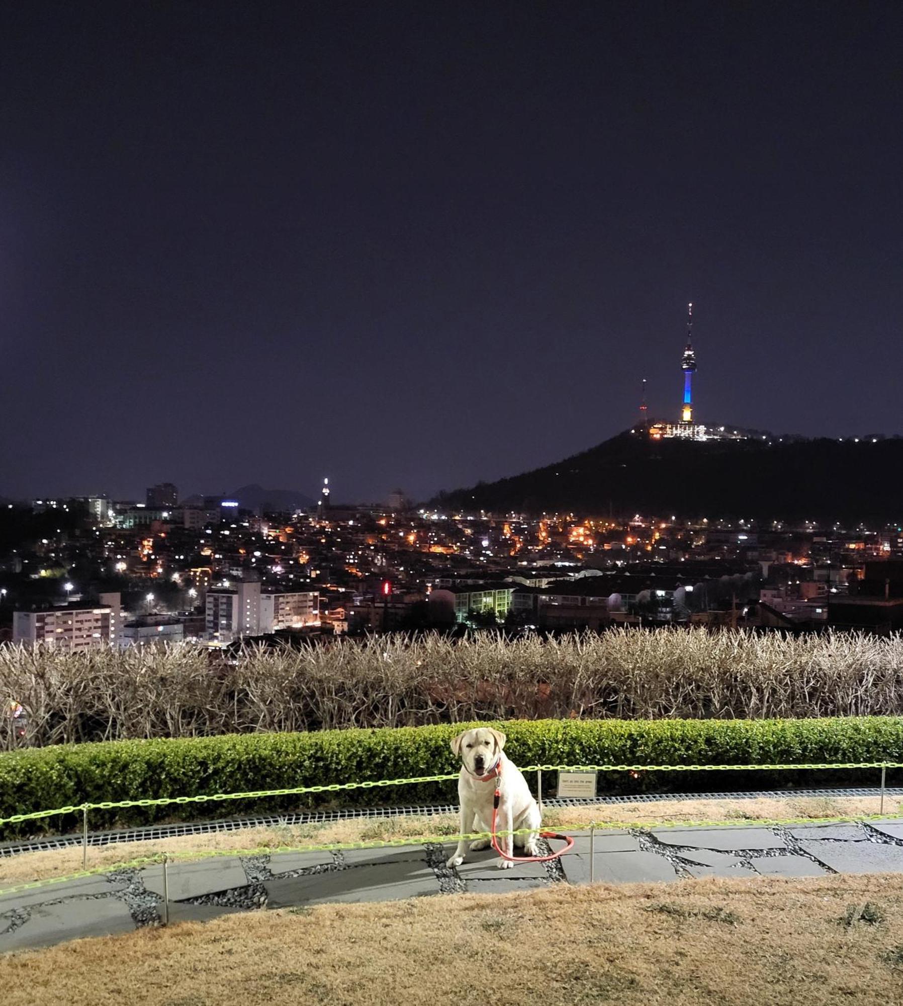 Brand New 2 Bedroom Apartment #6 Seul Exterior foto